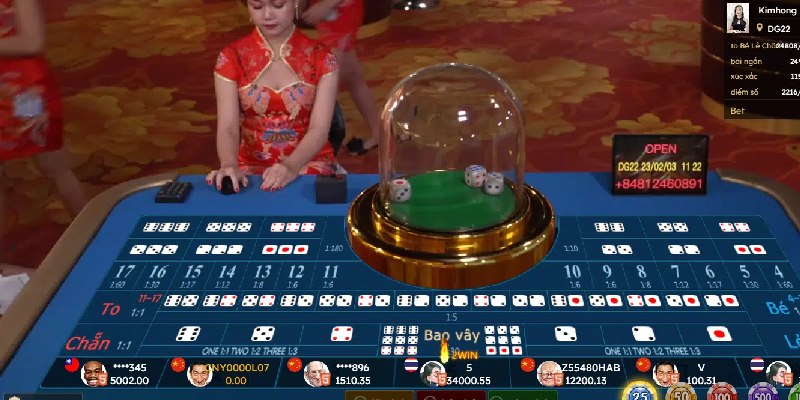 Cược tiền và theo dõi kết quả